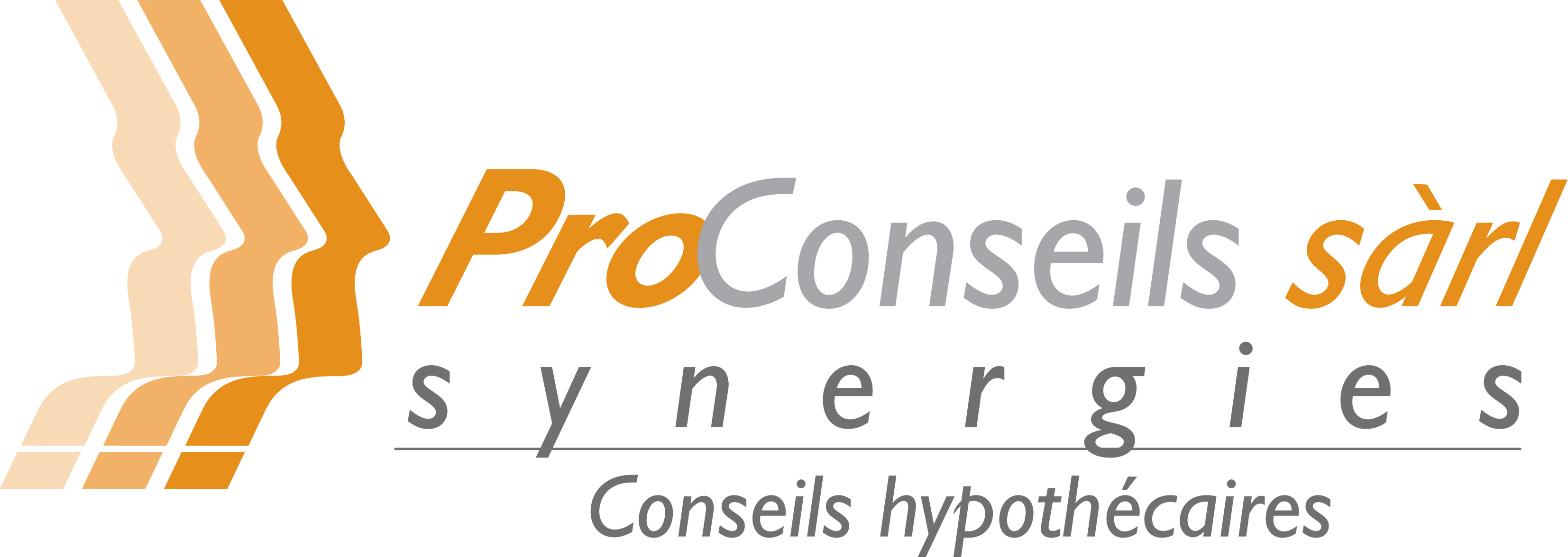 ProConseils Synergies Sarl